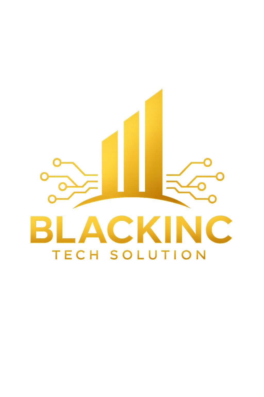 Blackinc Tech Solution